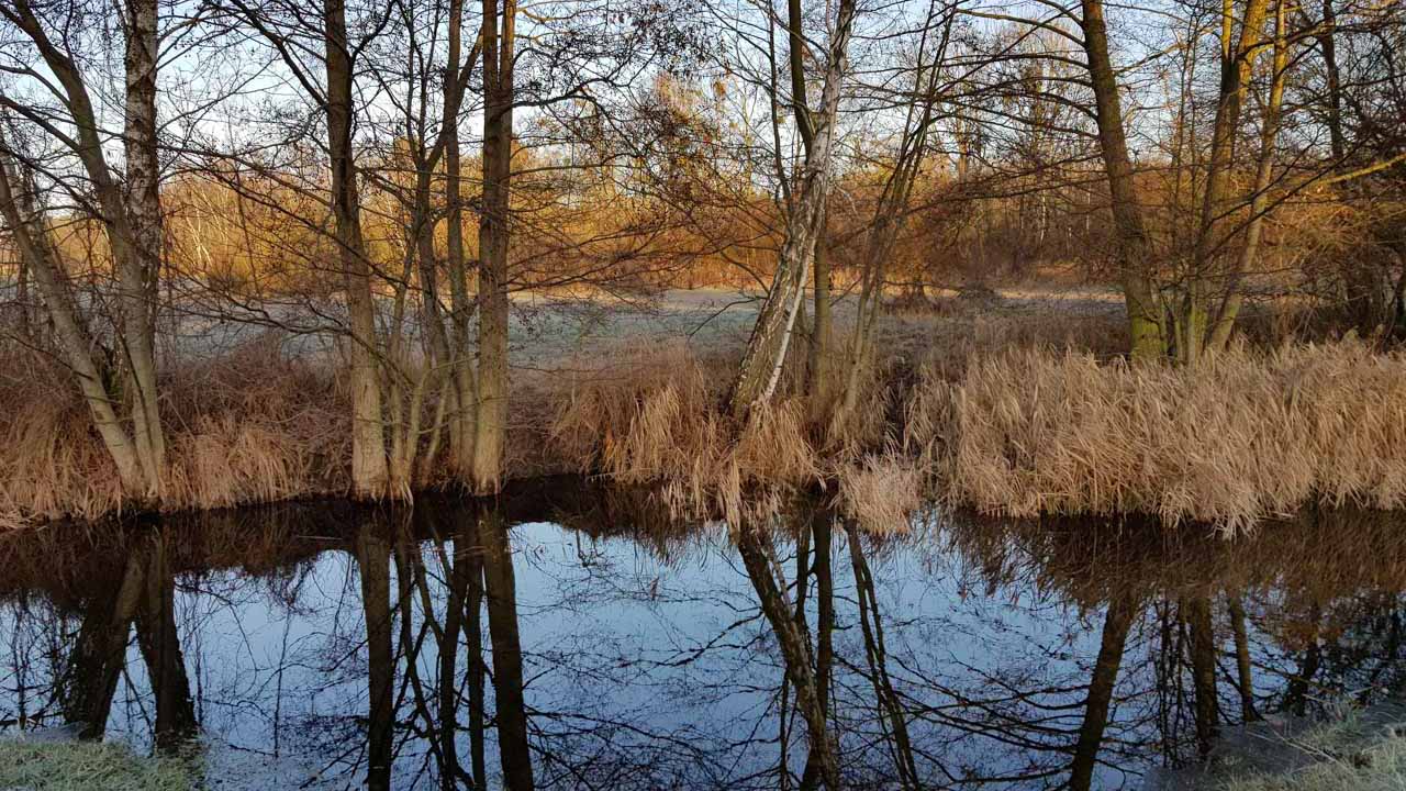 Im Januar 2020 hat das Fredersdorfer Mühlenfließ wieder einen höheren Wasserstand als Ende 2019 – Foto: Laura Klein