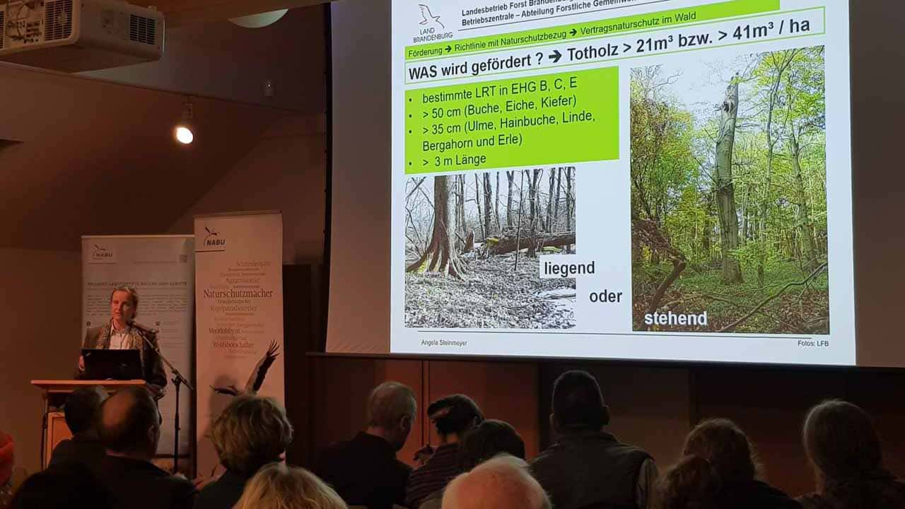 Angela Steinmeyer, Landesbetrieb Forst Brandenburg, stellt die neue Richtlinie zu Vertragsnaturschutz im Wald vor – Foto: Christiane Schröder