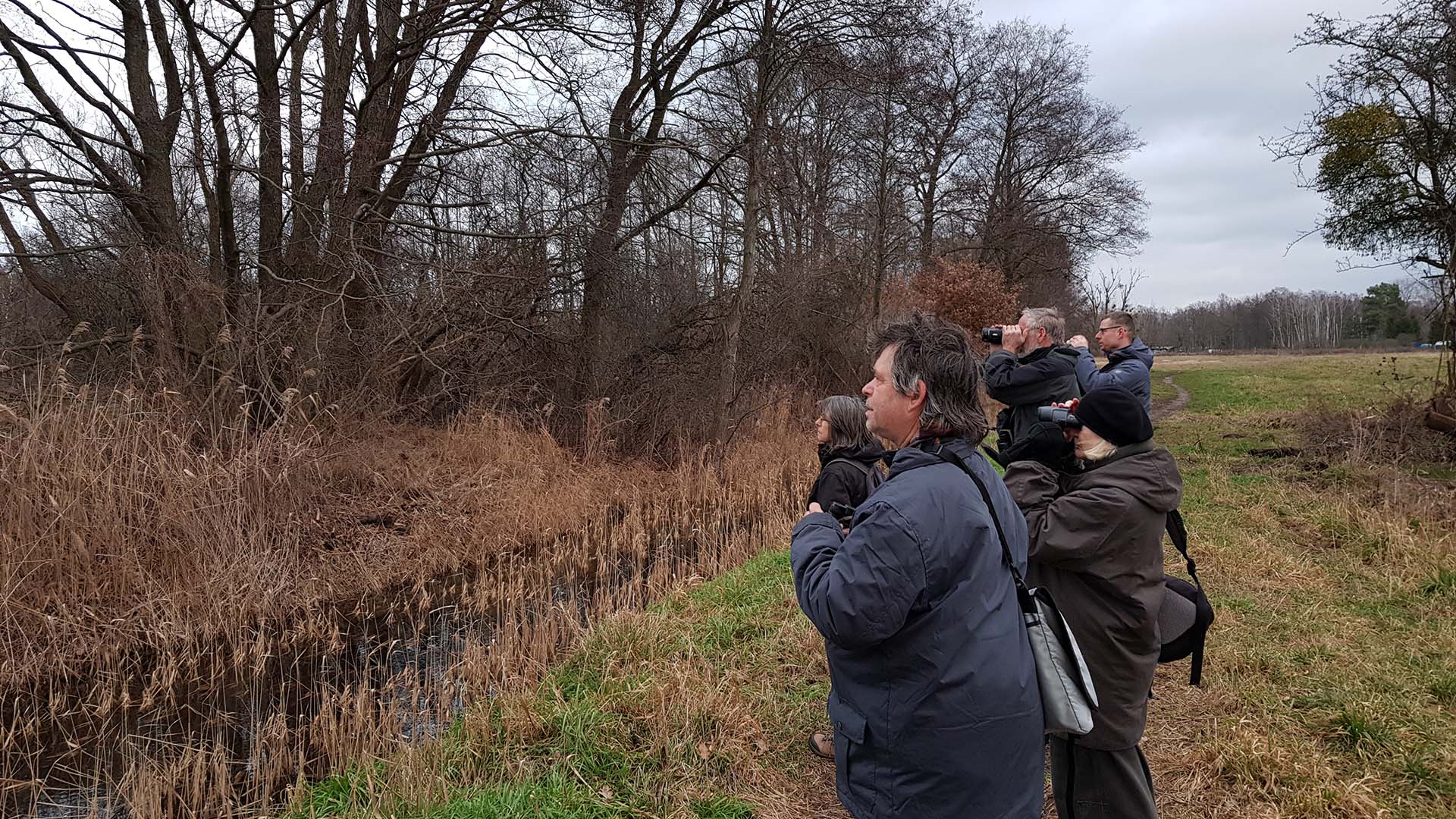 Vogelstimmenführung am Fredersdorfer Mühlenfließ am 2. Februar 2020 – Foto: Laura Klein