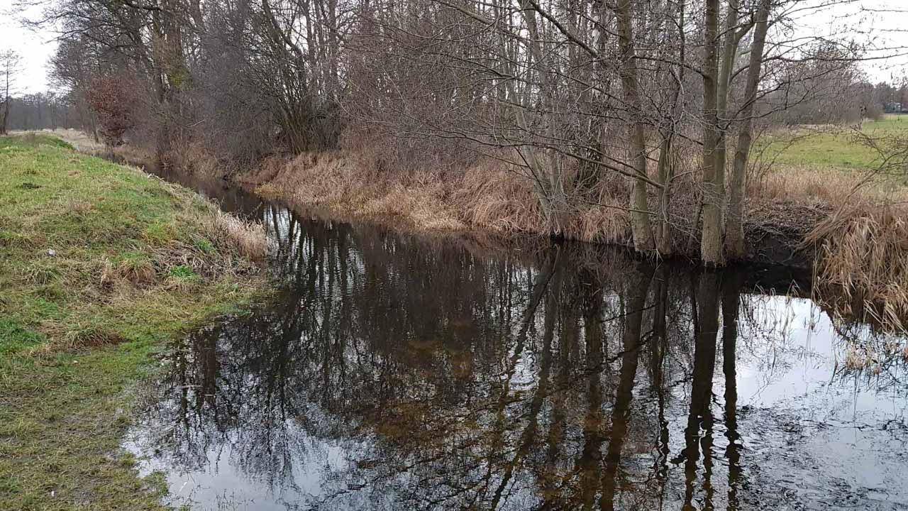 Angestiegener Wasserstand im Fredersdorfer Mühlenfließ im Februar 2020 – Foto: Laura Klein
